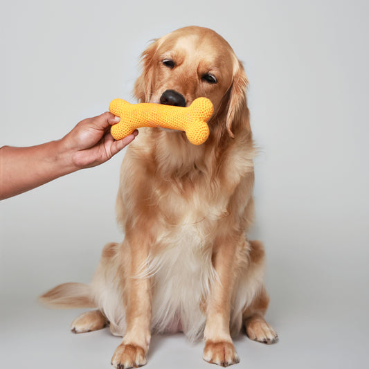 Knitted Bone Shaped Toy