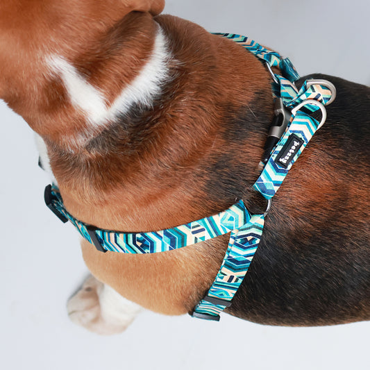 Premium Step-In Harness